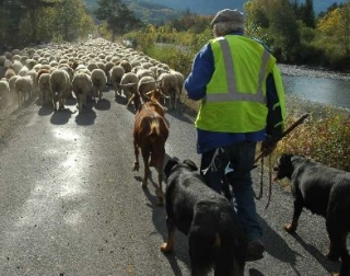  Encuentro duranle la camicrema 
